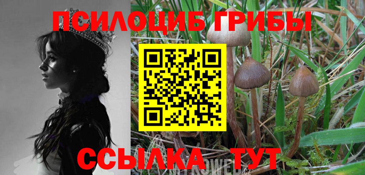 Галлюциногенные грибы мицелий Грозный
